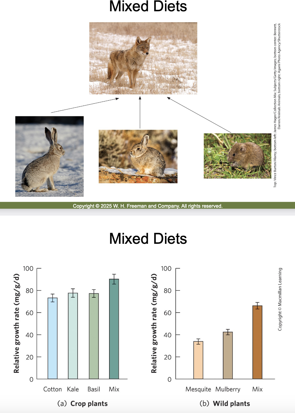Why do variable diets often lead to better fitness?