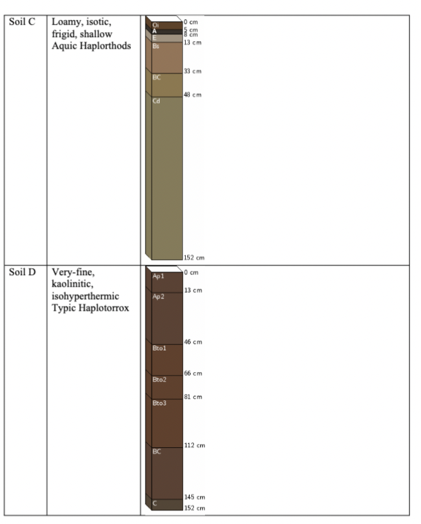 <p>Which of the soils exhibited the highest degree of weathering and soil development?</p><p>A. Soil A</p><p>B. Soil B</p><p>C. Soil C</p><p>D. Soil D</p>