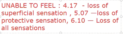 <ul><li><p>if you are unable to feel a 4.17, then you have superficial sensation loss</p></li><li><p>5.07 = protective</p></li><li><p>6.1 = all is gone </p></li></ul><p></p>