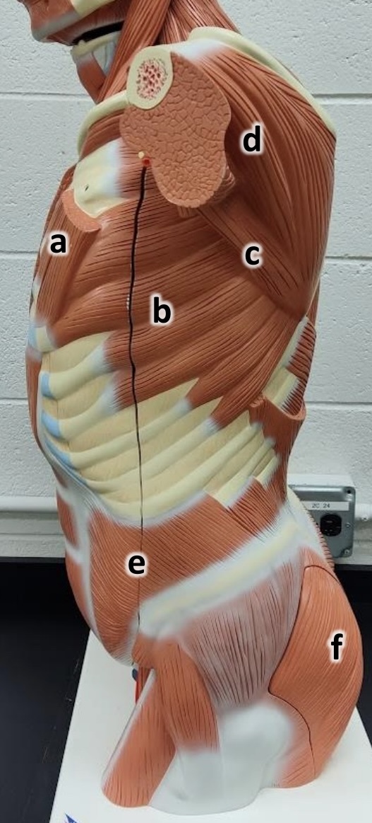 <p>What is C</p>