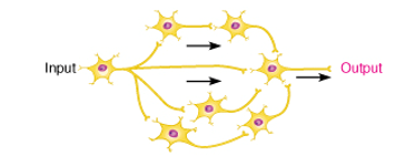 what circuit is this

reverberating or parallel