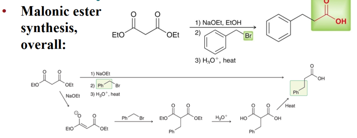 <ol><li><p>diethyl malonate is reacted with a base to form the corresponding enolate.</p></li><li><p>the enolate is then reacted with the alkyl halide.</p></li><li><p>both esters are then hydrolyzed (-OR to -OH)</p></li><li><p>one of the resulting carboxylic acid groups is then decarboxylated with heat.</p><p>-1,3-dicarboxylic acids undergo decarboxylation in a pericyclic process. </p></li></ol><p></p>