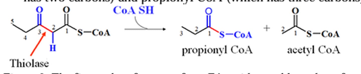 <p>Where do these two products feed into?</p>