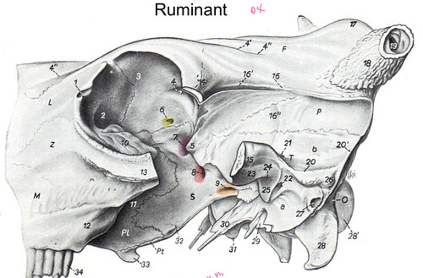 <p>What is red/8?</p>