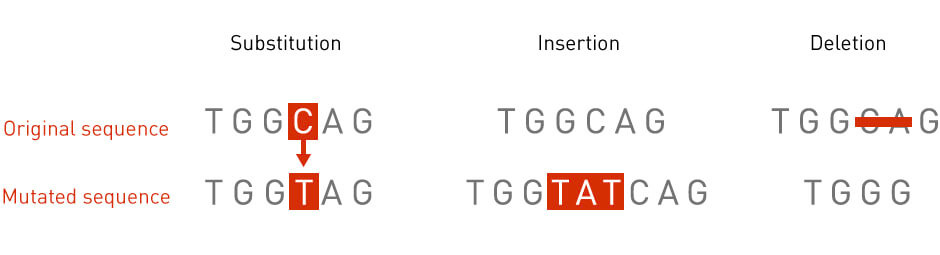 <ul><li><p>change in 1 nucleotide/base pair in a gene</p></li><li><p>can be substitution, insertion, or deletion</p></li><li><p>only causes problems in exons</p></li></ul><p></p>