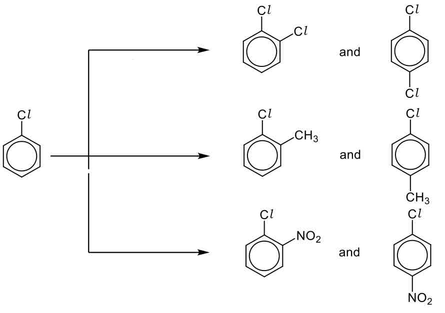 <p>Halogenoarenes</p>