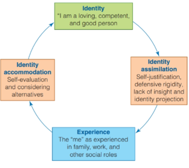 <p>Argues that people build conceptions of how their lives should proceed</p><p>• The life-span construct has two parts:</p><p>• A scenario (the map for how our plans will unfold)</p><p>• A life story (an autobiography)</p><p>• Piaget’s concepts of assimilation and accommodation are integral in changes.</p><p></p><p>Holds no evidence for stages</p><p>• Life transitions not related to age</p><p>• A constantly changing identity (via</p><p>accommodation) = poor psychological health</p><p>• Identity assimilation = positive self-regard,</p><p>successful aging</p>
