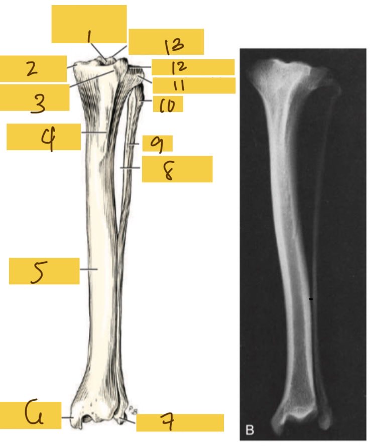 <p>2</p>
