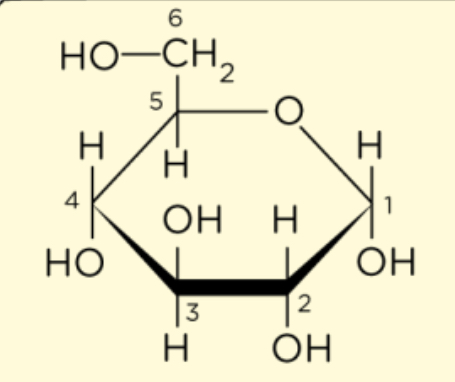 <p>What structure is this?</p>