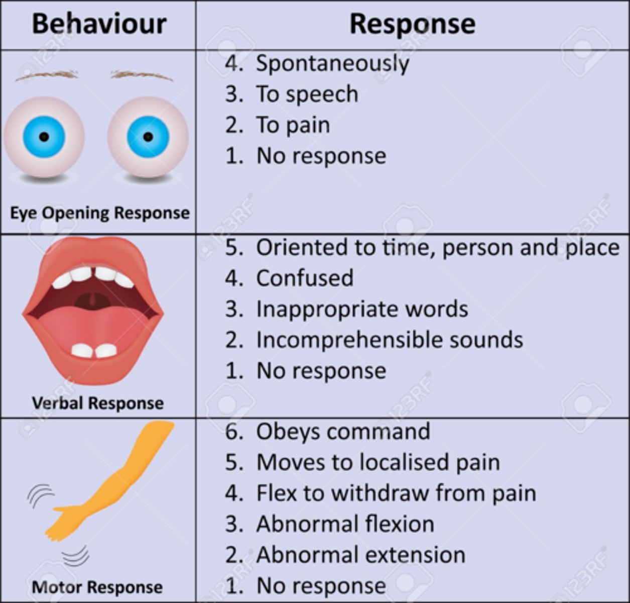 <p>Neurological Assessment</p><p>- Measured by patient's level of consciousness</p><p>- Glasgow Coma Scale</p><p>* Standardized for consistent communication among care team members</p><p>- Pupils</p>
