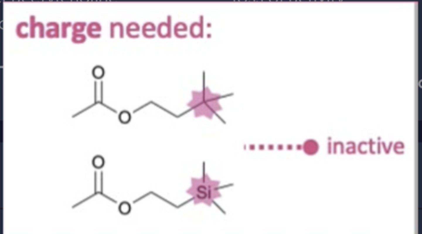 <p>- Essential to agonist activity.</p><p>- Allows ionic interaction with muscarinic receptor.</p>