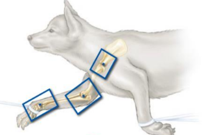 <p>which position is this?</p>
