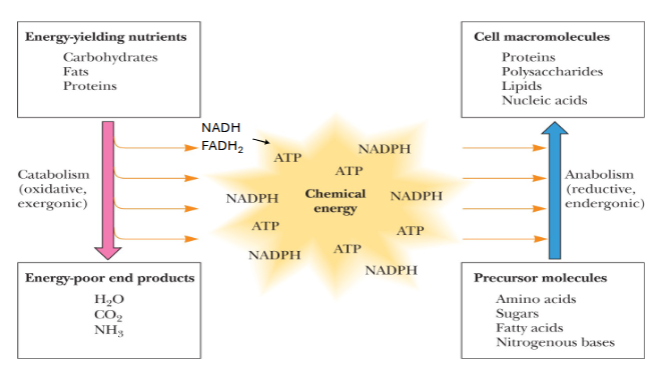 <p>interrelated !</p>