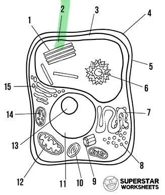 <p>What’s the highlighted area called </p>