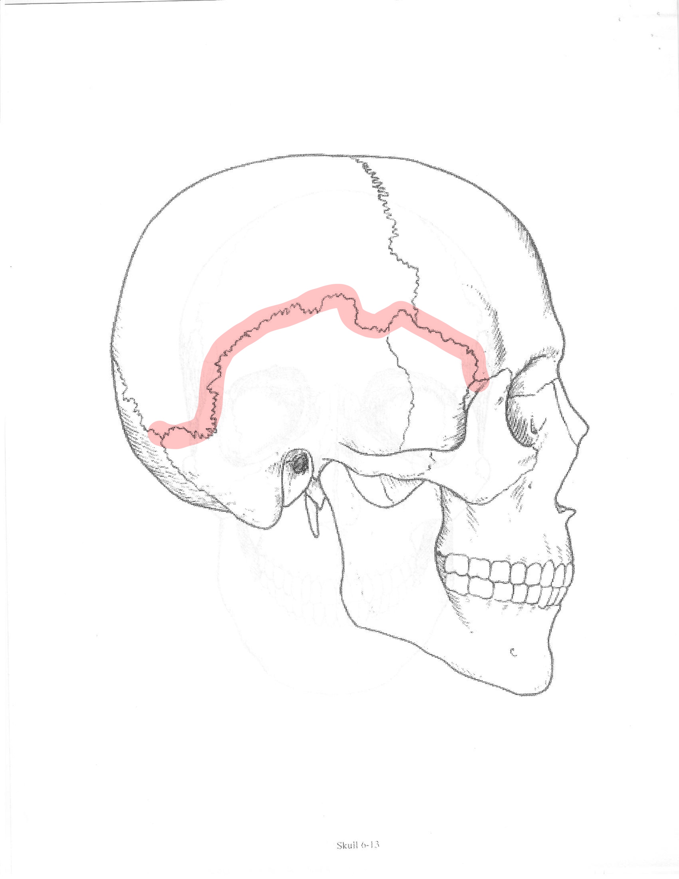 <p>ID feature</p>