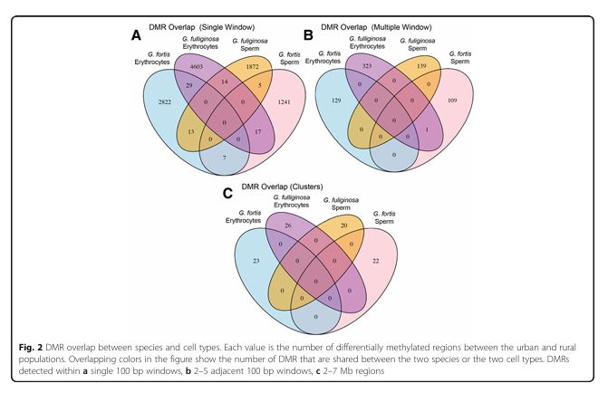 <p>Figure 2</p>