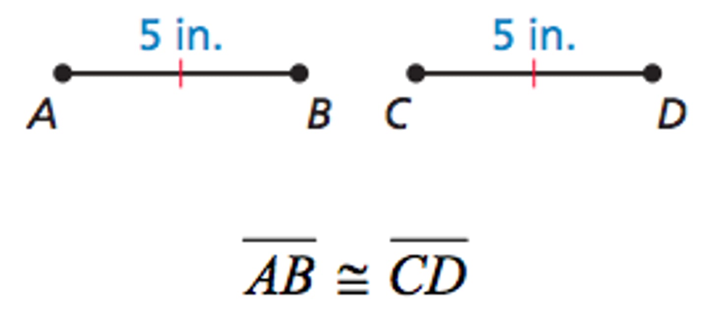 <p>segments that have the same length</p>