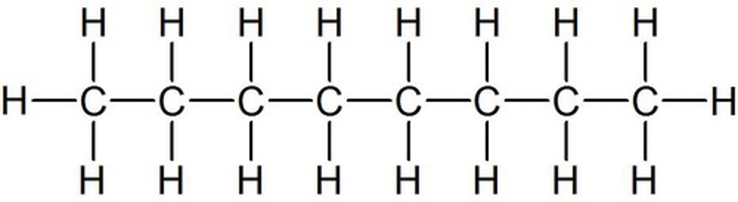 <p>Prefix name for an organic molecule with eight carbon atoms</p>