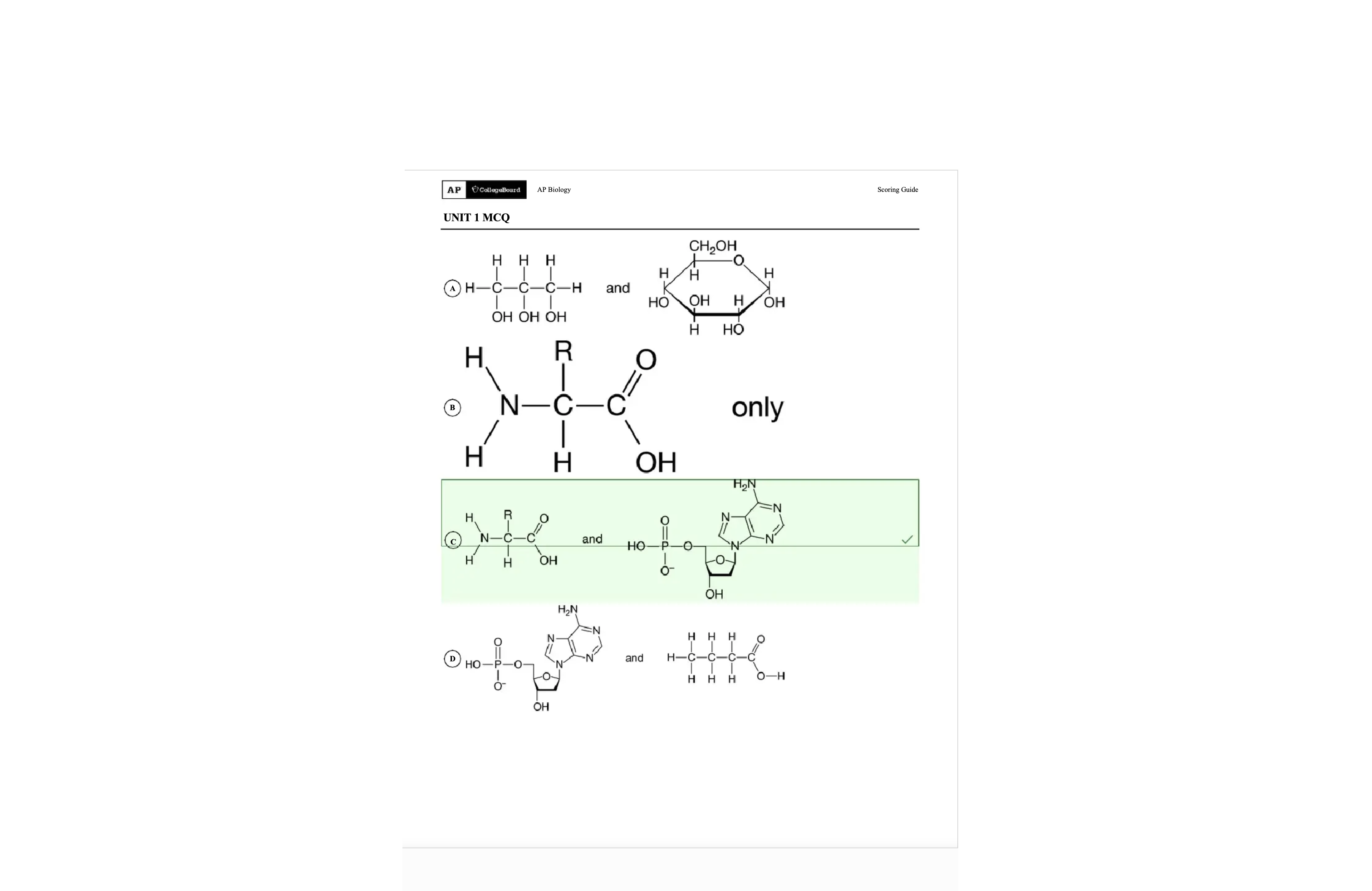 <p>C</p>