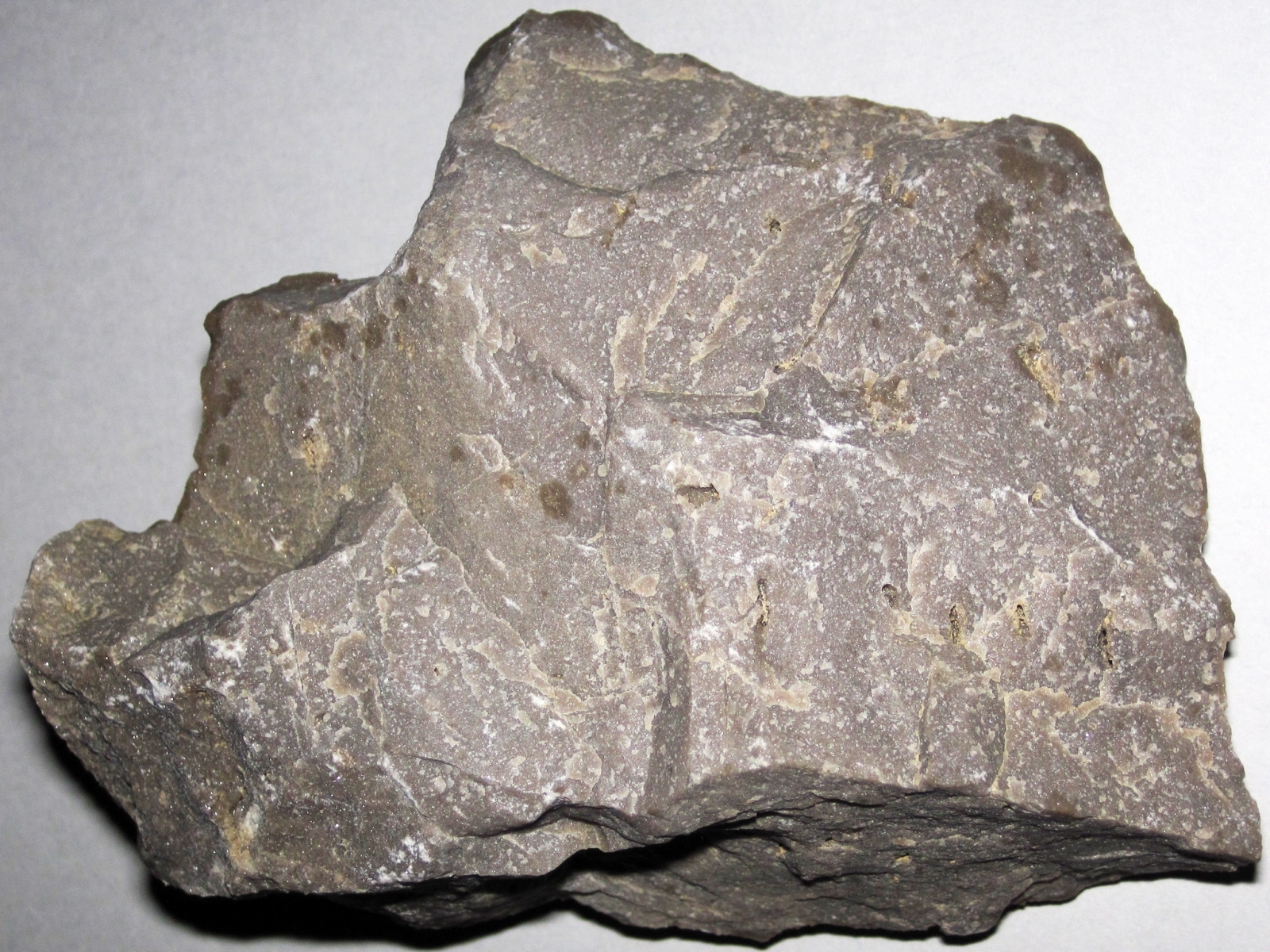 <p>#38, sedimentary, chemical, fizzes in acid IF powdered</p>