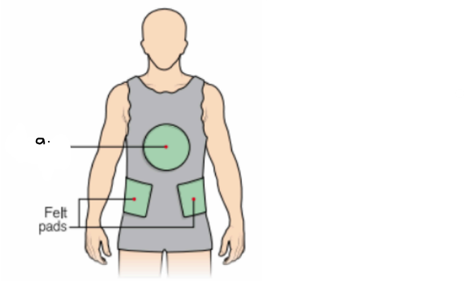 <ul><li><p>what type of cast is this? (indicate the view) </p></li><li><p>label the letter a.</p></li></ul><p></p>