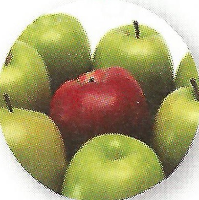 unter (einer Gruppe)