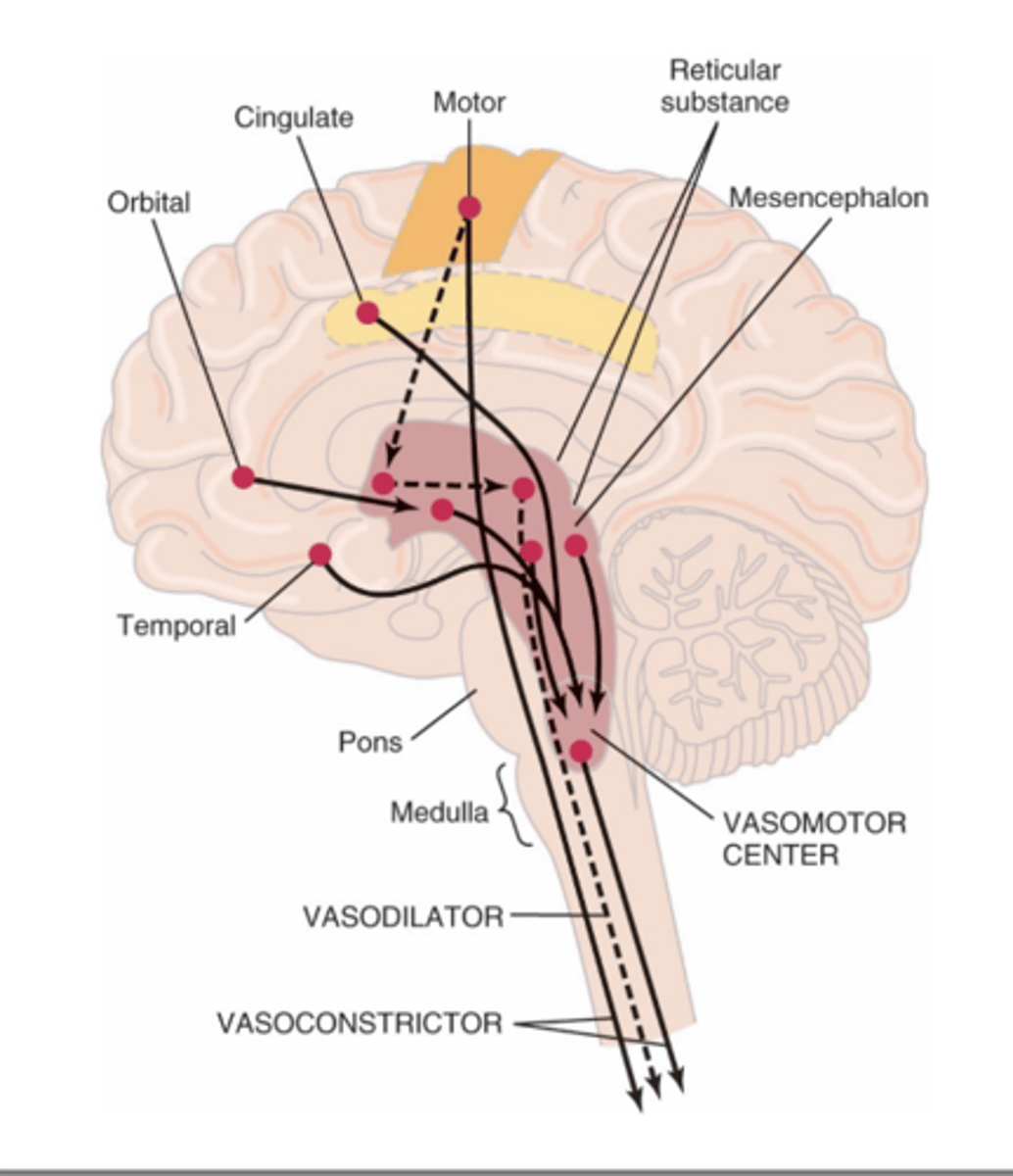 <p>The vasomotor center (VMC) is composed of what three areas? </p>
