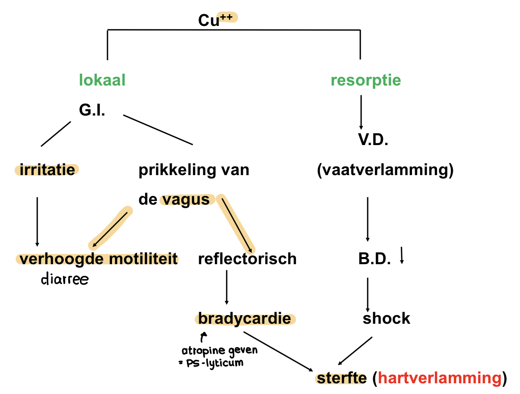 LOKAAL

* Irritatie GI mucosa → verhoogde motiliteit
* Prikkeling n. vagus → verhoogde motiliteit
* Prikkeling n. vagus → reflectorisch → bradycardie → sterfte

  \

RESORPTIE

* Vaatverlamming → shock, sterfte