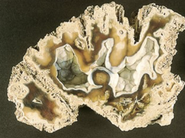 <p>What is this? </p>