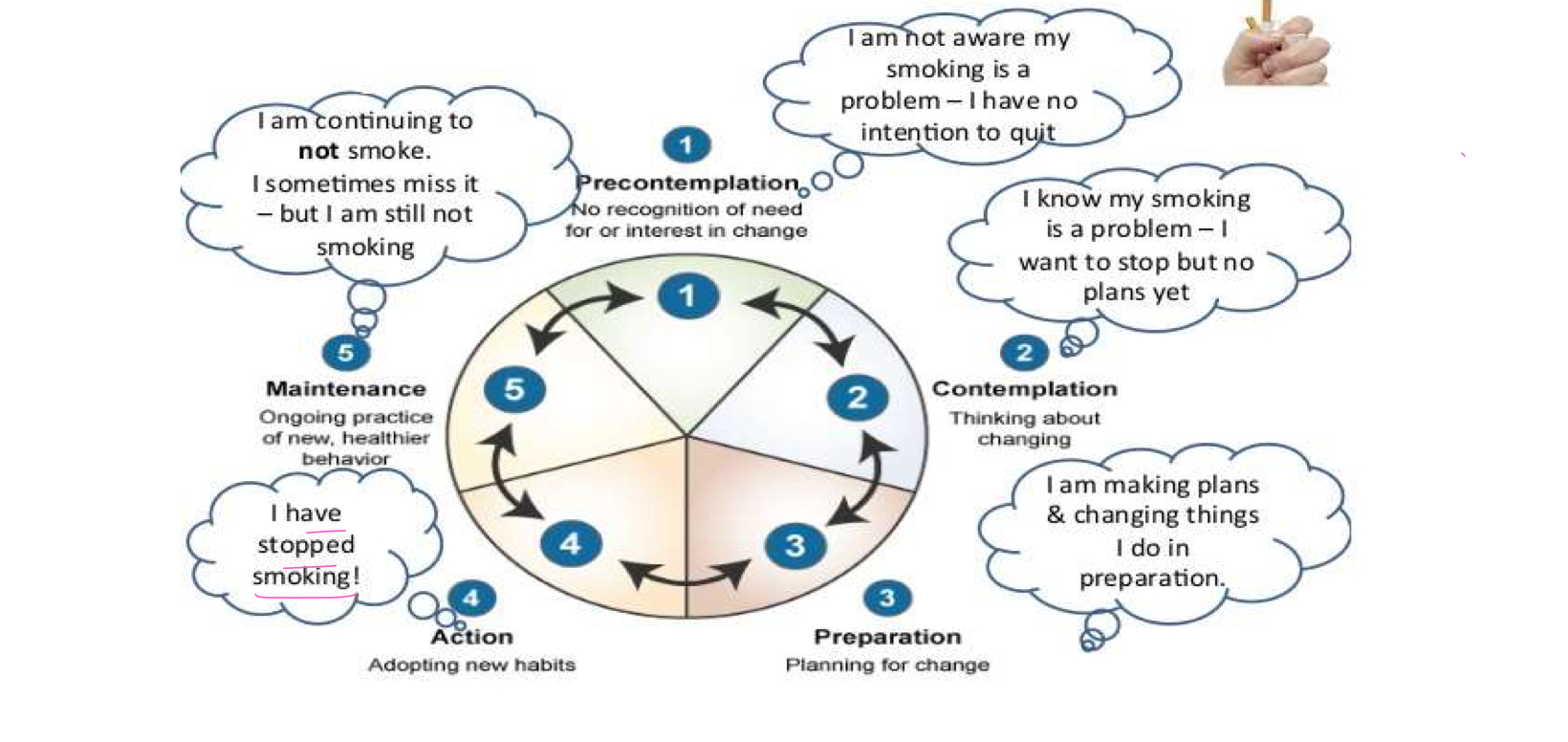 <p>Stages of change model</p>
