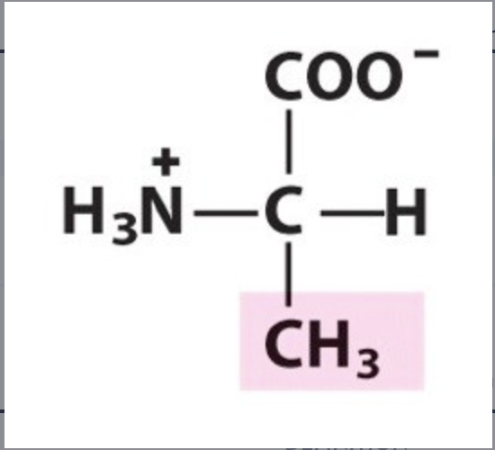 <p>Ala / A. pKa Neutral. IP 6,00. Unpolar, hydrophobic.</p>