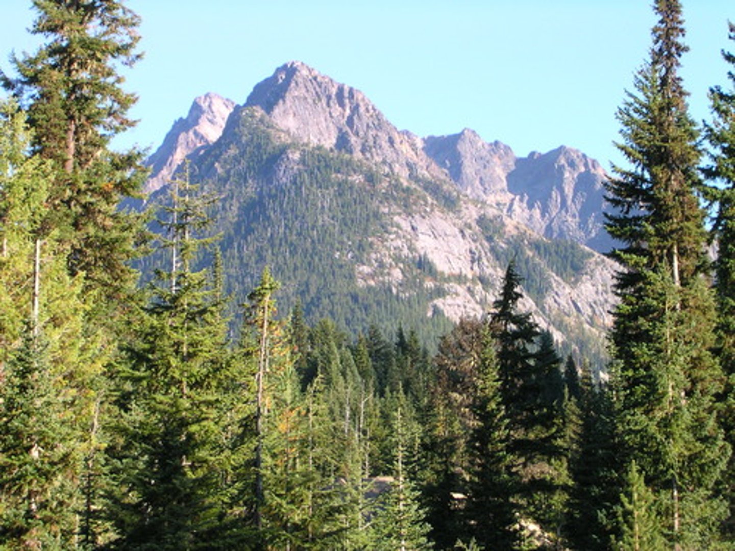 <p>Washington</p>