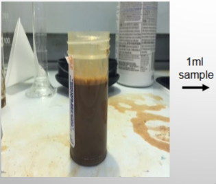 <p>Sample prep for plate count assays</p>