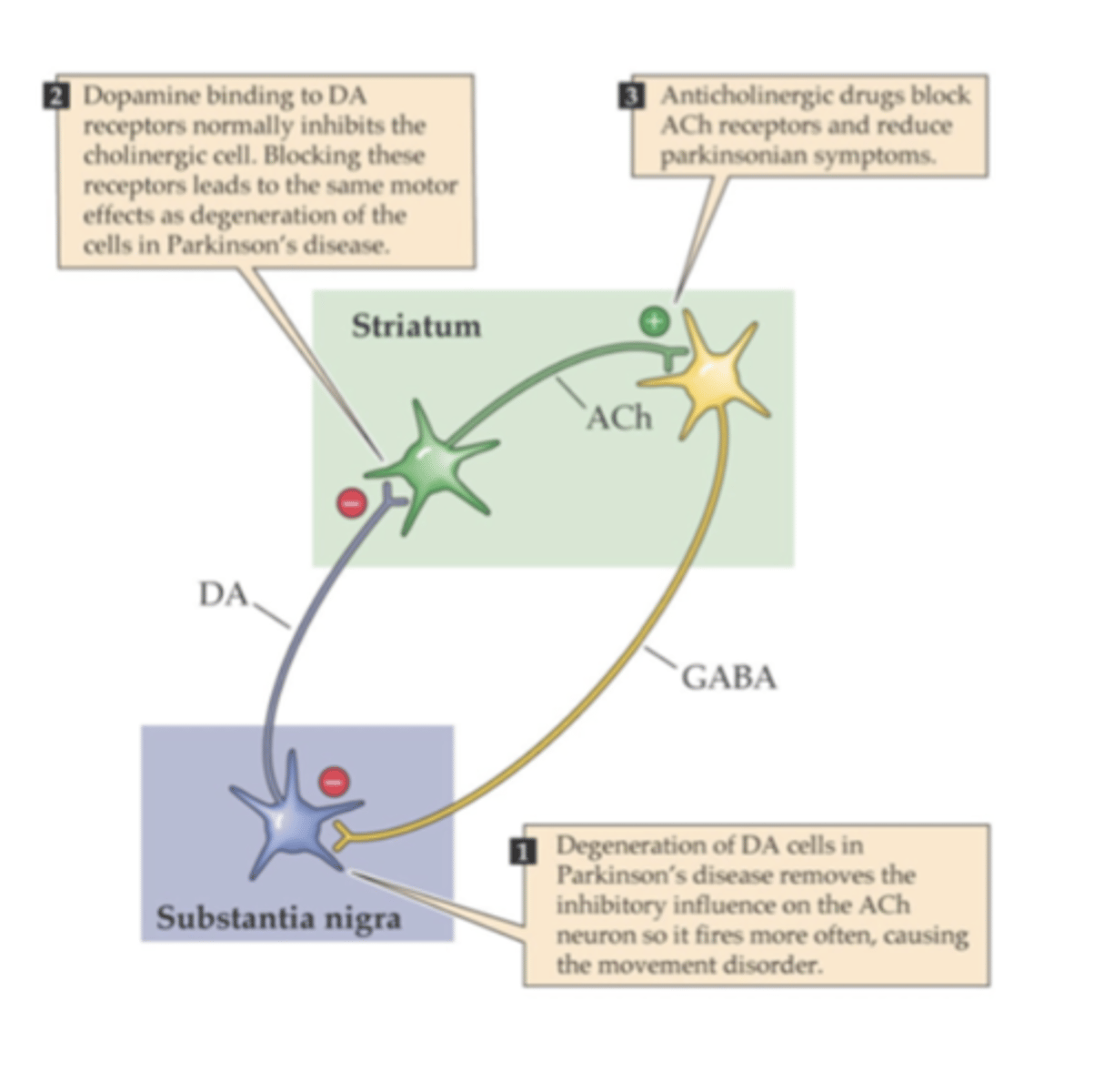 <p>- motion sickness</p><p>- acute dystonia associated with D2 receptor blockade (diphenhydramine)</p>