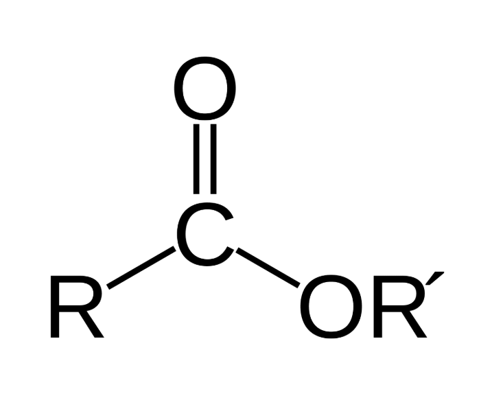 <p></p>
