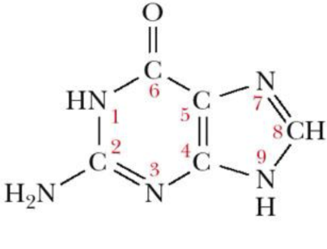 <p>what is this structure?</p>