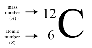 <p><strong>“A superscript above the symbol shows the atom’s heft.”</strong> The higher that number, the heavier the isotope! Or like Carbon-14 for mass number. </p>