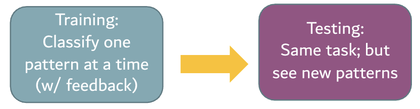 <p>Three types of stimuli: new distortions (not seen before), old distortions, original prototype (not seen before)</p><ul><li><p>Classification task: same as in training</p></li></ul><p></p>