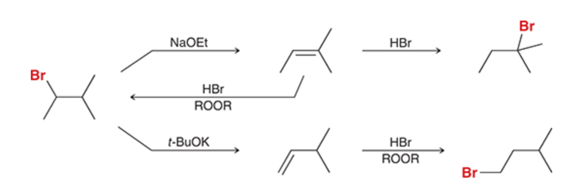 <ol><li><p>NaOEt major product is a double bond</p></li></ol><p>2)HBr adds Br at most subbed carbon (unless peroxide is present)</p><p>3)t-BuOK forms the hoffman product so double bond is added to the least subbed carbon</p>