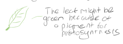 <p>A possible explanation to answer a question</p>
