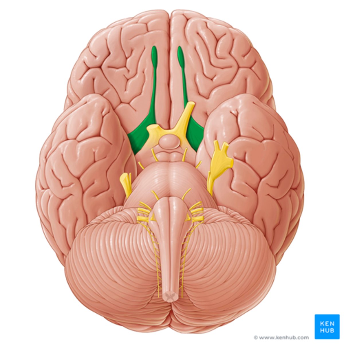 <p>double check this</p>