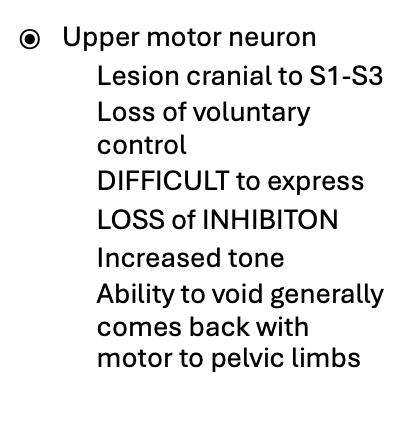 <p>-difficult to express bladder</p><p>-loss of inhibition</p><p>-increased tone</p><p>-loss of voluntary control (high residual vomume)</p>