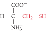 <p>Cys, C</p><ul><li><p>polar- uncharged</p></li><li><p>disulfide bond</p></li><li><p>R configuration </p></li></ul><p></p>