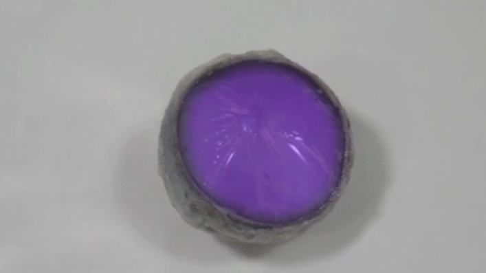 <p>Retina</p>