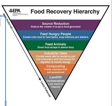 <p></p><ul><li><p>Food waste can generate a lot of methane in landfills</p></li><li><p>Composting keeps the food waste out of landfills</p></li><li><p>When composting, need to control amounts of C &amp; N, monitor moisture, control pests, ensure heat to speed up breakdown process&nbsp;</p></li><li><p>Combines the 3 R’s</p></li><li><p>Aerobic decomposition (uses O2 — does not release CH4)</p></li></ul><p></p>
