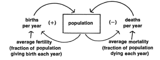 population growth feedback loop 