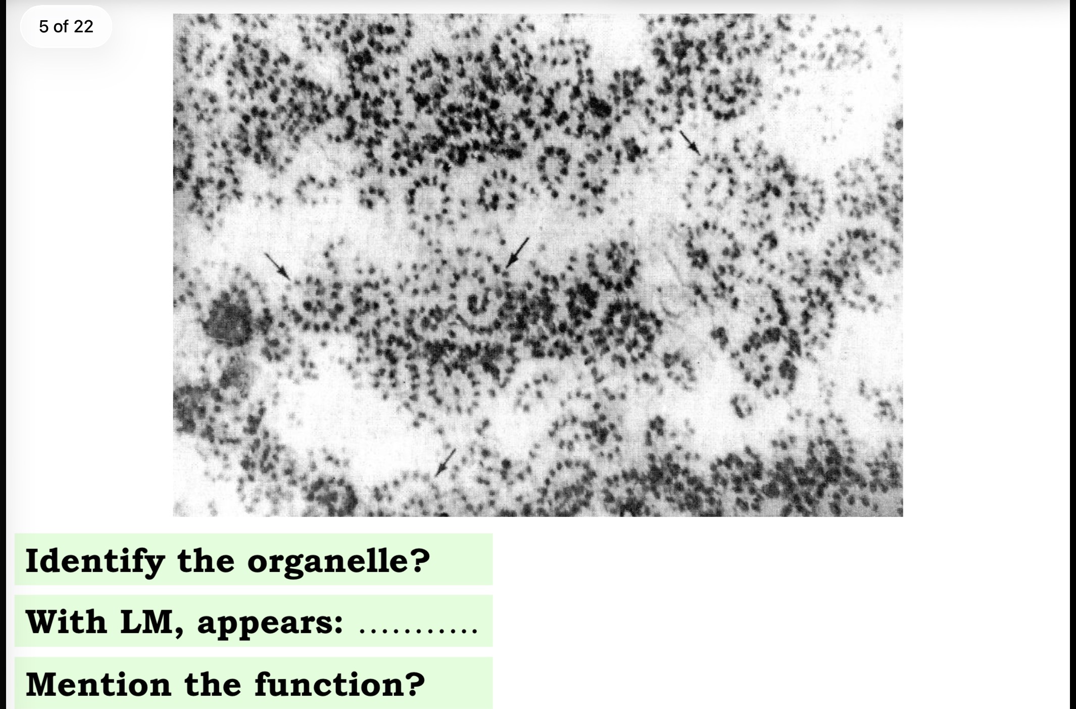 <p>Answer the questions in these following pictures</p>