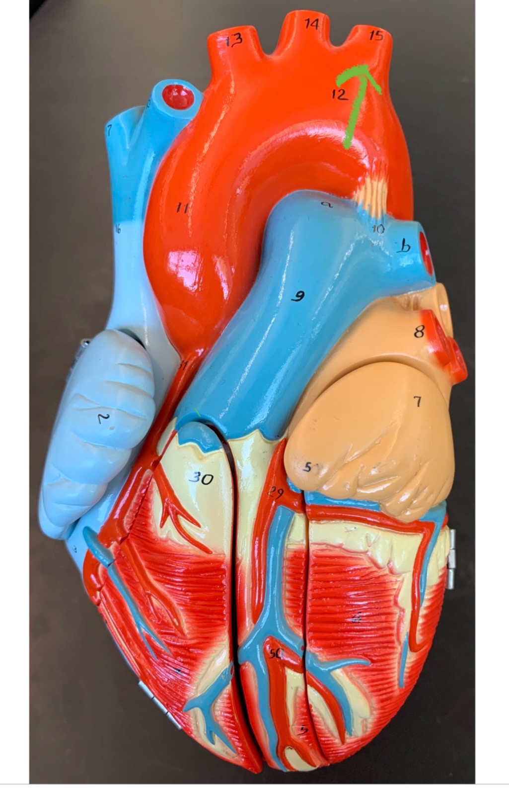 knowt flashcard image