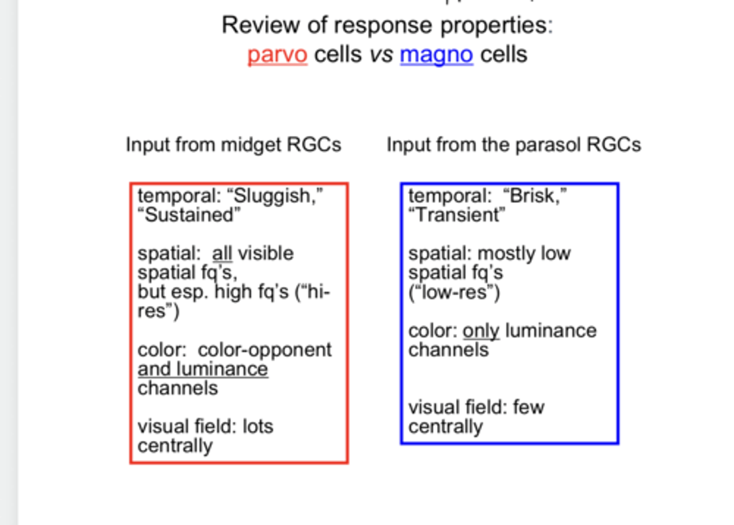 <p>Review of Response Properties -- Magno v Parvo</p><p>Temporal spatial frequency is sluggish and sustained</p>