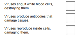 <p>How do viruses cause the symptoms of disease?(1)</p>